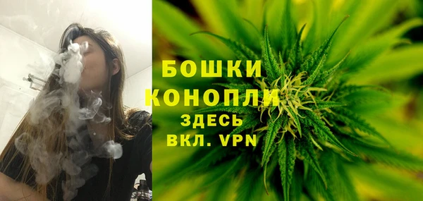 прущая мука Нея