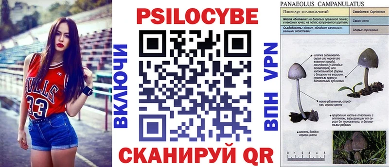 MEGA ССЫЛКА  Домодедово  Псилоцибиновые грибы Magic Shrooms 