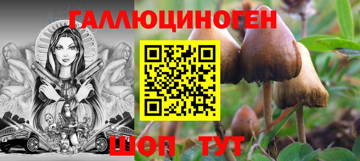 Галлюциногенные грибы мухоморы Домодедово