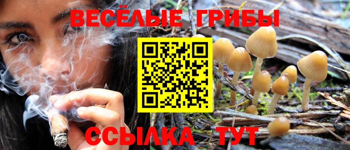 Меф Домодедово