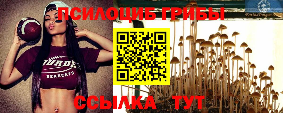 Галлюциногенные грибы прущие грибы Домодедово