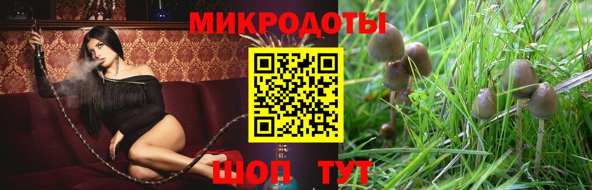 Домодедово  Галлюциногенные грибы мицелий  Вход с VPN 