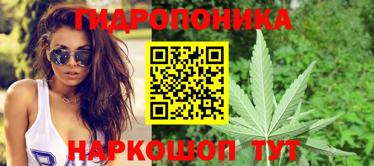 Бошки Шишки THC 21% Домодедово